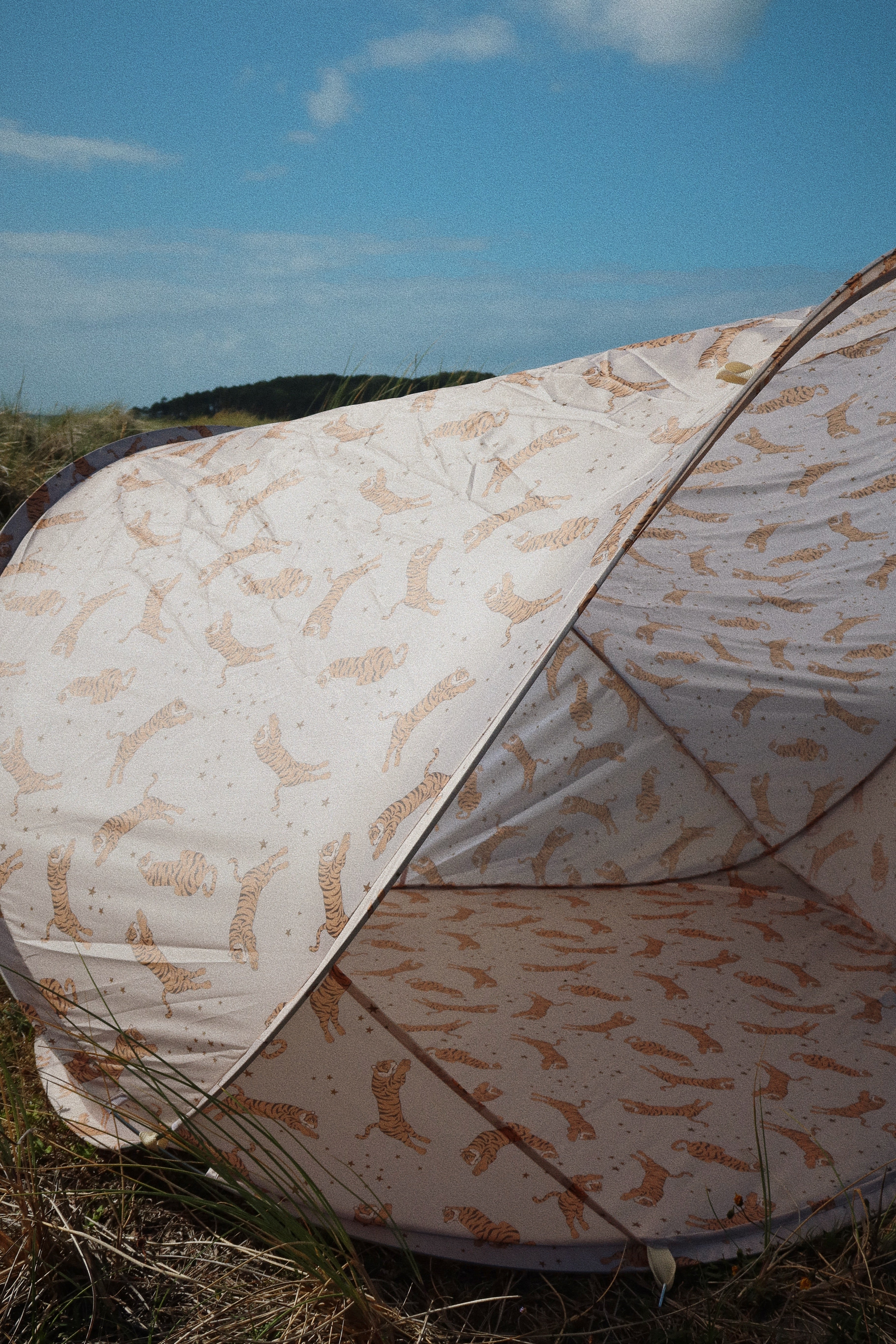 Beach Tent Pop Up Anti-UV 50+: Sun-Safe Shelter