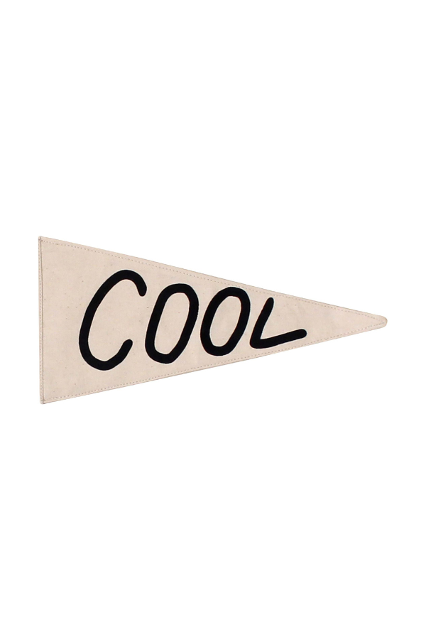 cool pennant