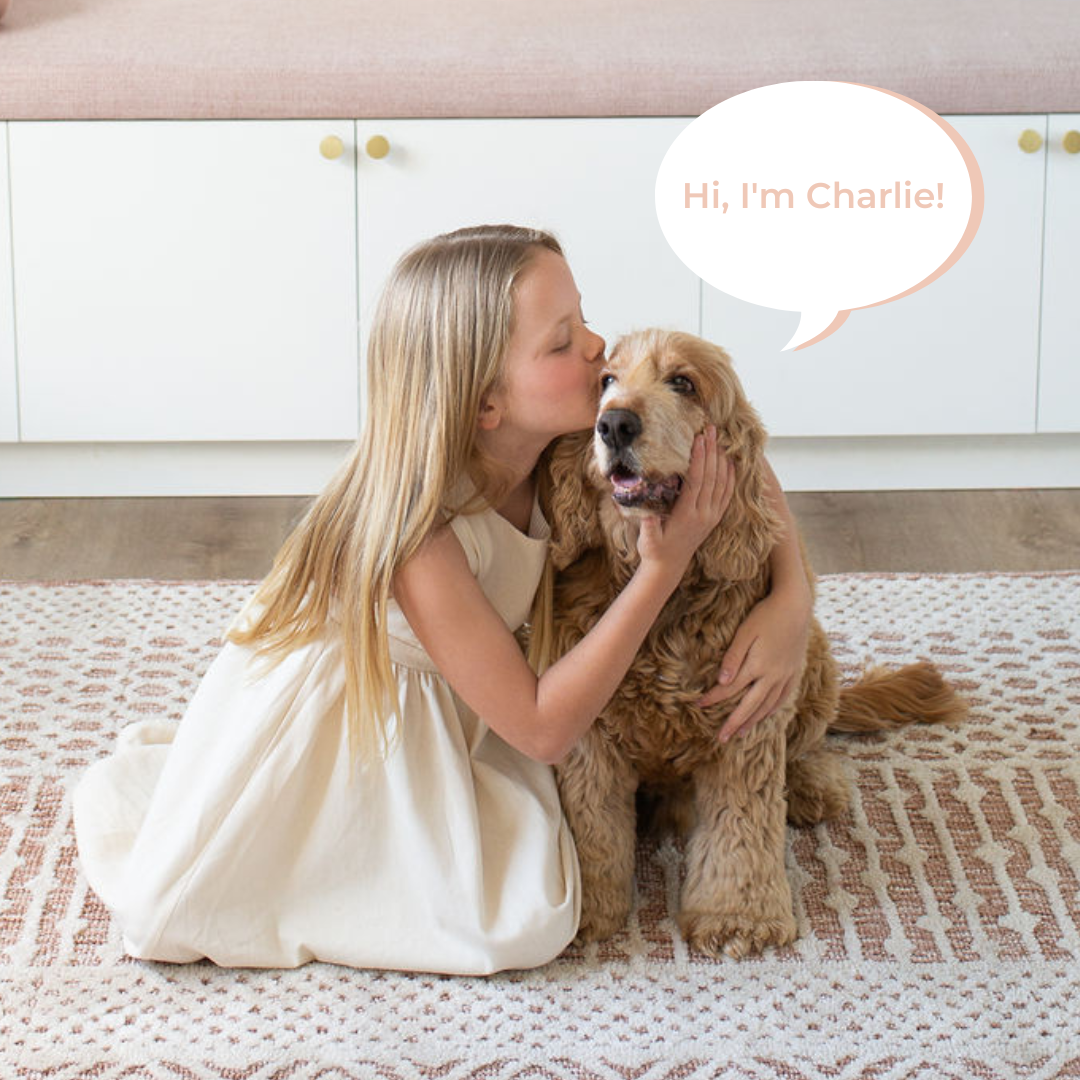 Charlie The Weighted Puppy Dog by Mindful And Co Kids USA