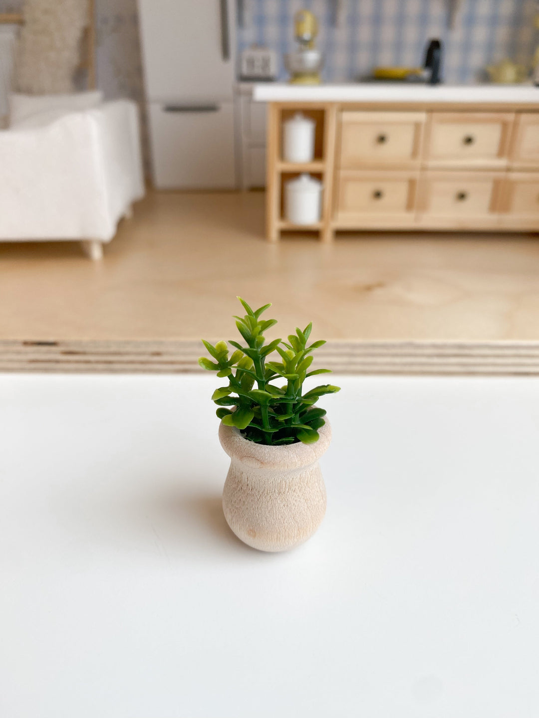 Potted Plant | Various Sizes + Styles