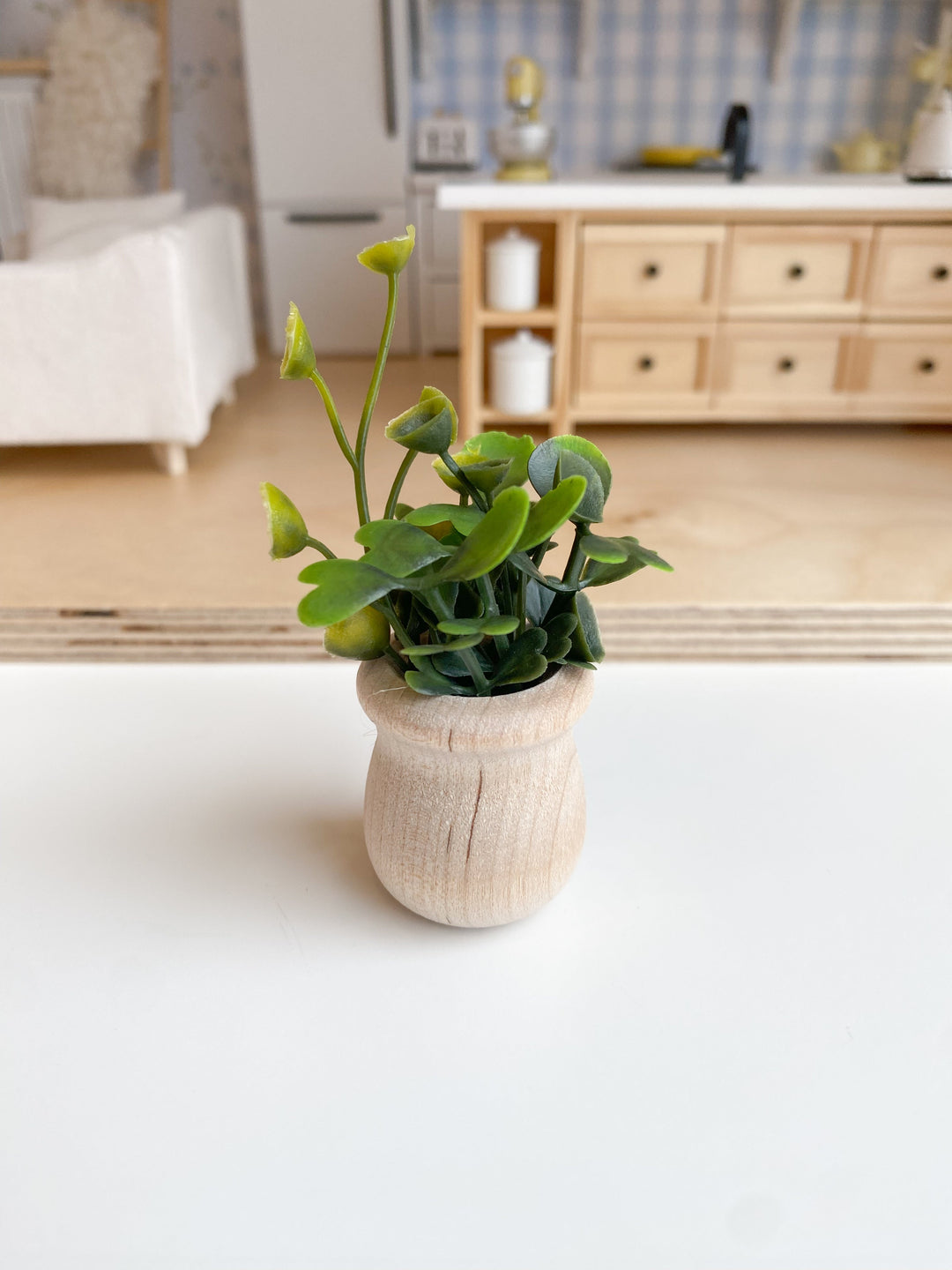 Potted Plant | Various Sizes + Styles