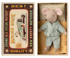 Little brother mouse in matchbox