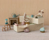 Tooth fairy mouse, Little sister in matchbox