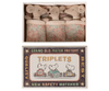 Triplets, Baby mice in matchbox