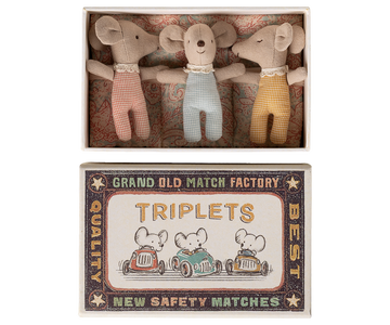 Triplets, Baby mice in matchbox