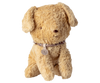 Puppy, Small - Soft sand