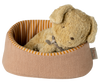Pet Basket - Powder
