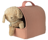Pet Carrier - Coral