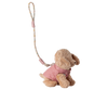 Pet supply, Harness and leash - Rose
