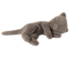 Sleeping kitten plush, Small - Grey