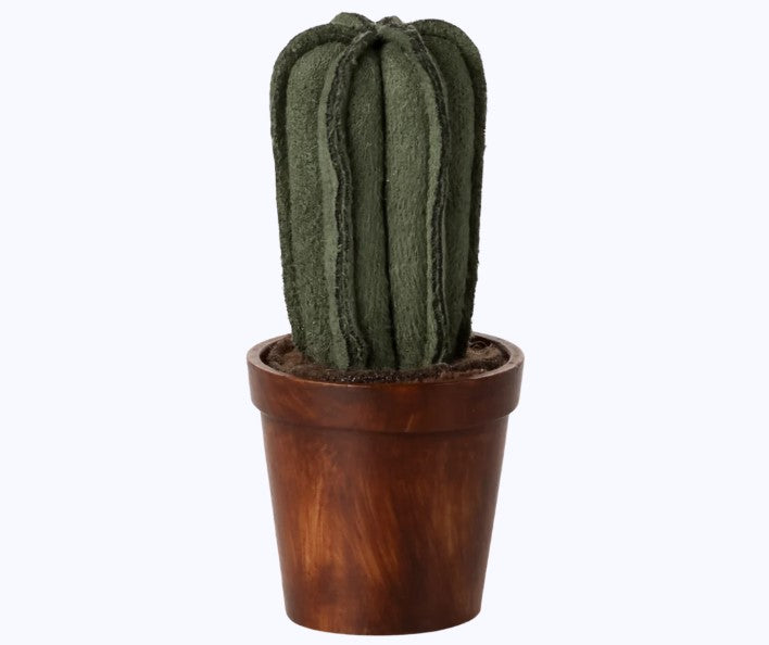 Flower pot with cactus (End of June Pre-Order)