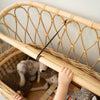 Callie Kids' Storage Couch