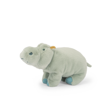 Large hippopotamus - All Around the World
