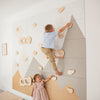 Indoor Climbing Wall
