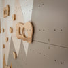 Indoor Climbing Wall