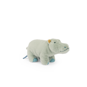 Small hippopotamus - All Around the World
