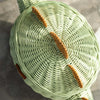 Dinosaur Rattan Storage Basket Mint Green - Medium